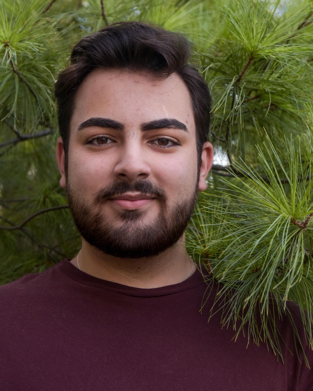 Hickman High School senior Dany Dakhlallah stands for a portrait